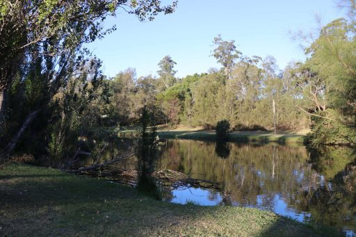 Little Coogee, Parramatta Park