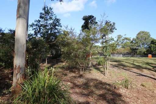 Strathfield Park